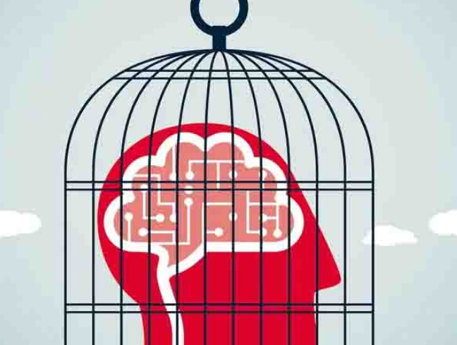 1764123416203161.png 1.png